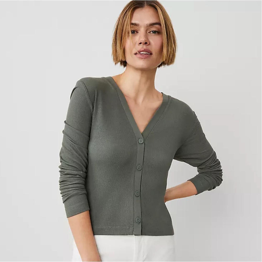 Ann Taylor Weekend Collection Fitted V-Neck Cardigan